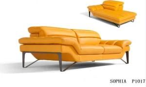 Living Room Furniture Leisure Sofa with Real Leather