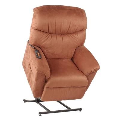 Good Feedback Power Lift Chair (QT-LC-10)