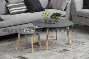 Modern Coffee Table Set