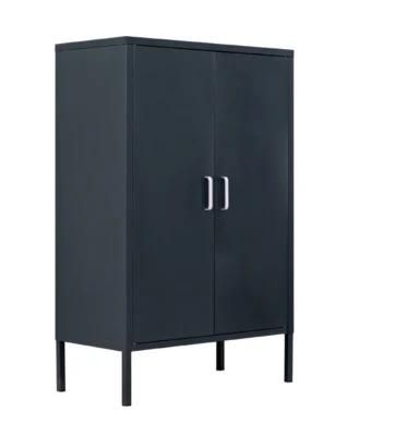 Livingroom Furniture 2 Shelf Storage Low Height Steel Cabinet