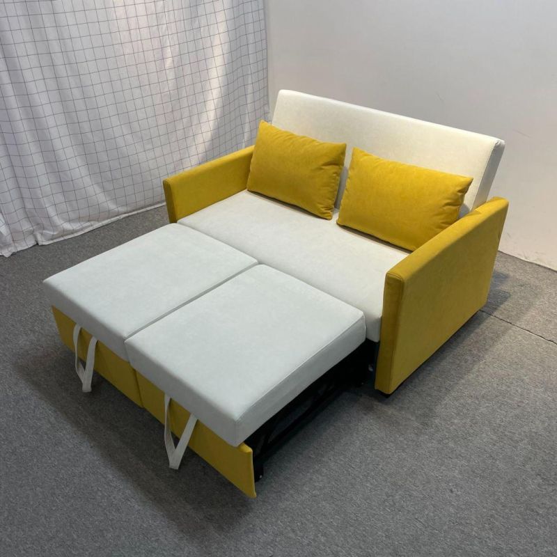 Folding Sofa Bed Small Apartment Double-Seat Multifunctional Dual-Purpose Sofa Bed