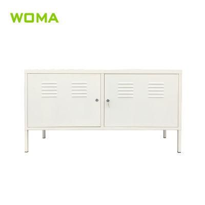 Low Metal TV Stand Cabinet 2 Door Storage Cabinet