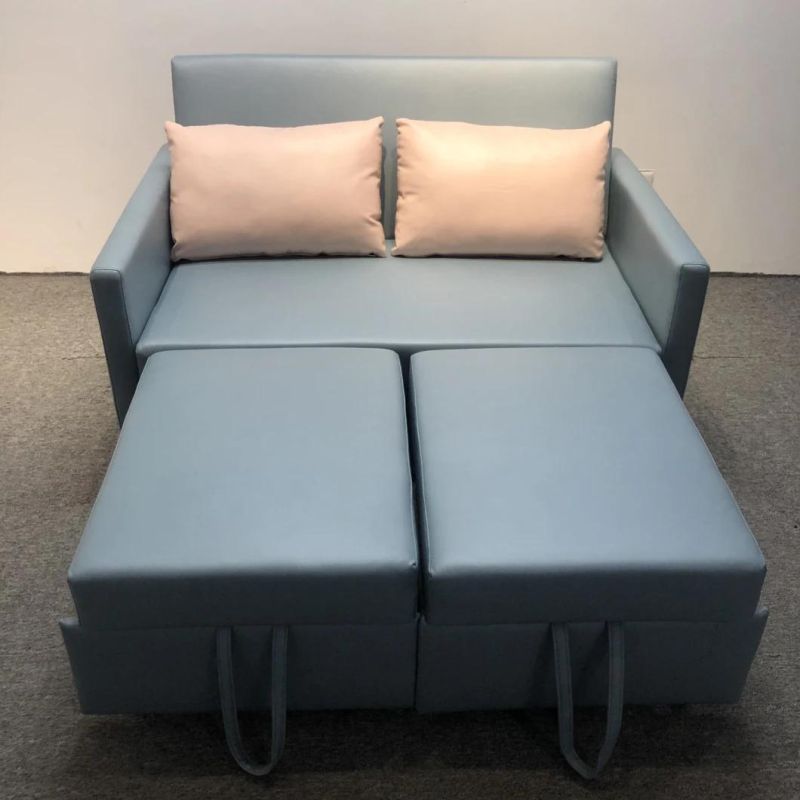 Folding Sofa Bed Small Apartment Double-Seat Multifunctional Dual-Purpose Sofa