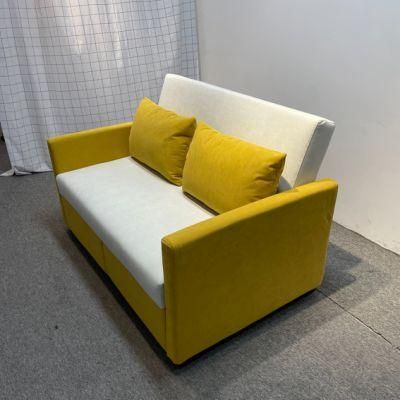 Folding Sofa Bed Small Apartment Double-Seat Multifunctional Dual-Purpose Sofa Bed