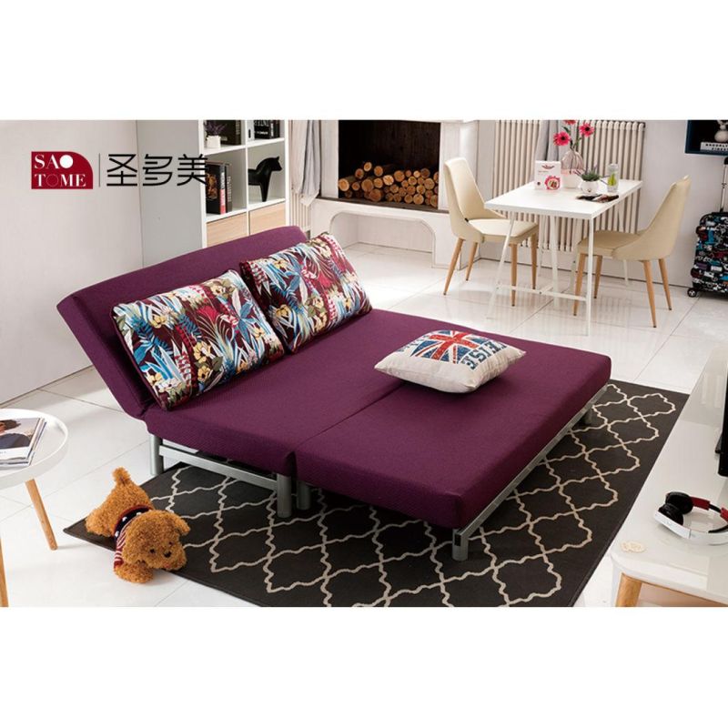 Leisure Living Room Different Color Sofa Bed