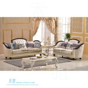 Jane European Living Room Sofa for Home (HW-3002S)