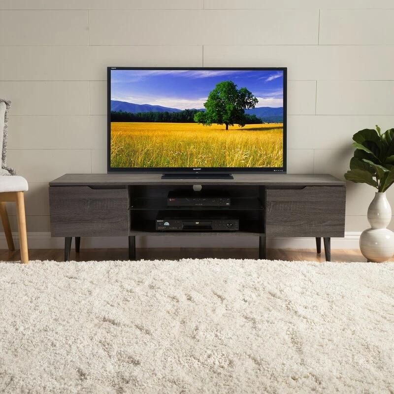 Living Room Furniture Gray Wooden TV Stand with 2 Door for Tvs up to 65 Inches