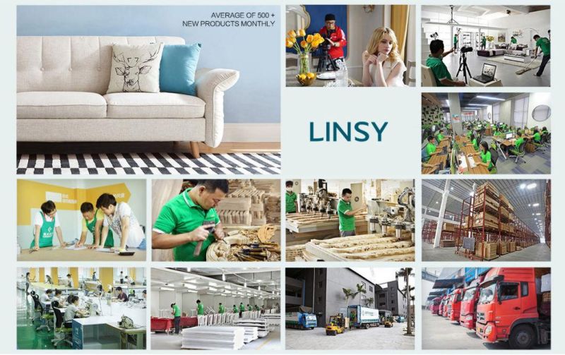 Linsy European Style Space Saving Modern White Single Foldable Wooden Sofa Cum Bed Ls075sf7