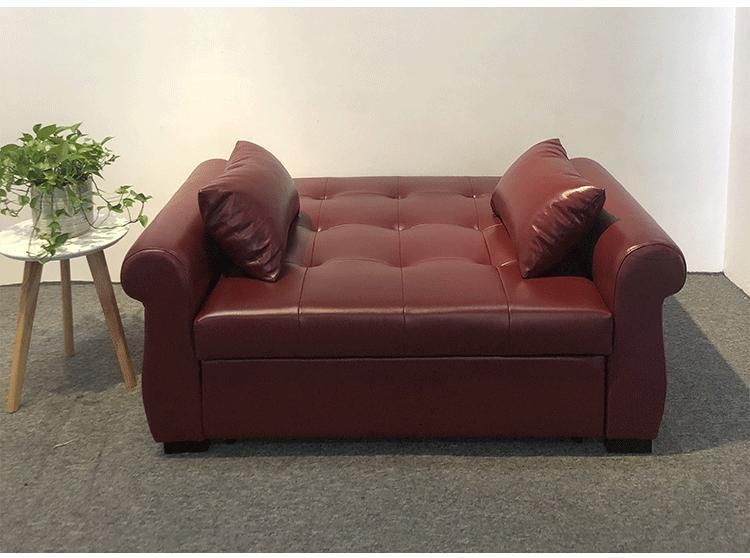 China Manufacturer High Quality Modern Living Room Folding Bed Cum Sofa for Sale