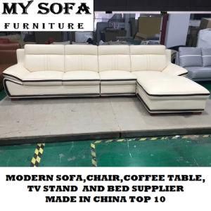 Leather Sofa Furniture