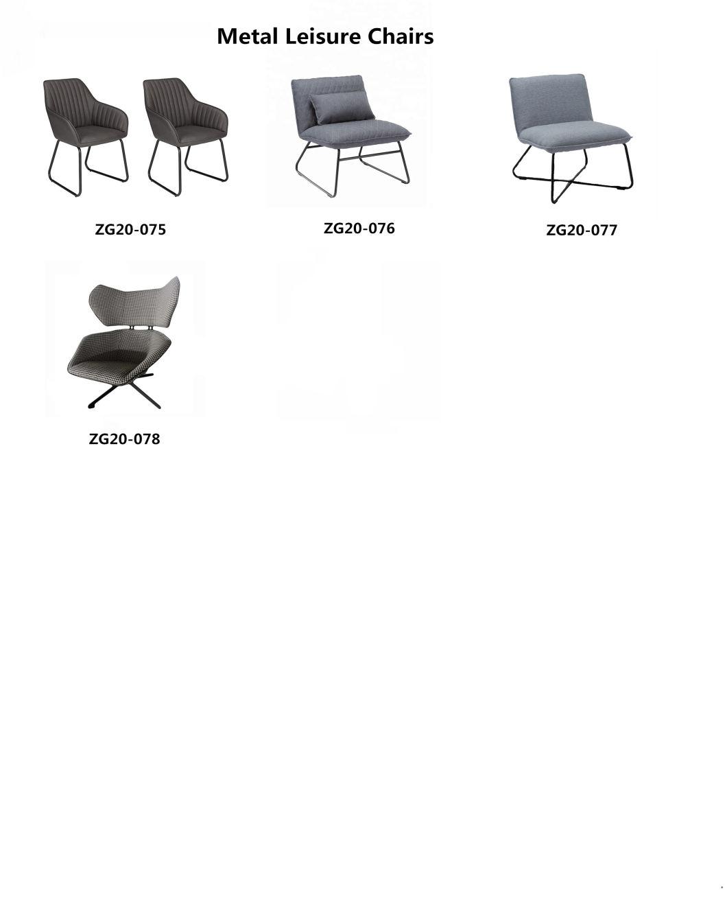 Hot Selling Metal Leisure Chair (ZG20-076)