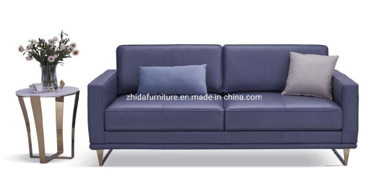 Foshan Factory Living Room Furniture Metal Fabric Sofa