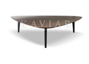 2015 Hot Sale Splicing Walnut Veneer Top Panel Coffee Table (TC109)