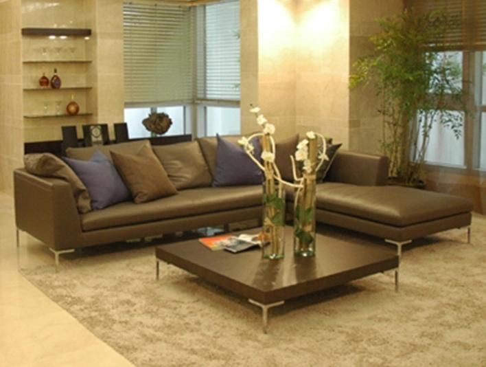 European Style Leather or Fabric Upholstery Couch Living Room Couch