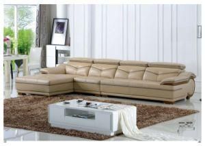 Fashion Design Sectional Genuine Leather Sofa (B01)