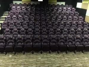 Cinema Sofa with Good Price