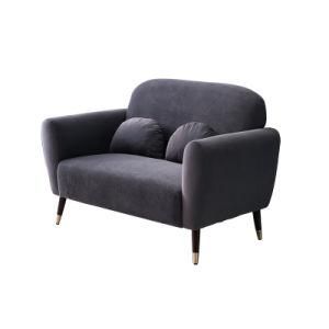 Modern Comfortable Fabric Sofa Two Seat Sofa for Living Room Furniture