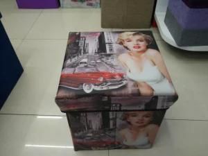 Sex Lady Fashion Storage Stool Furniture Chair