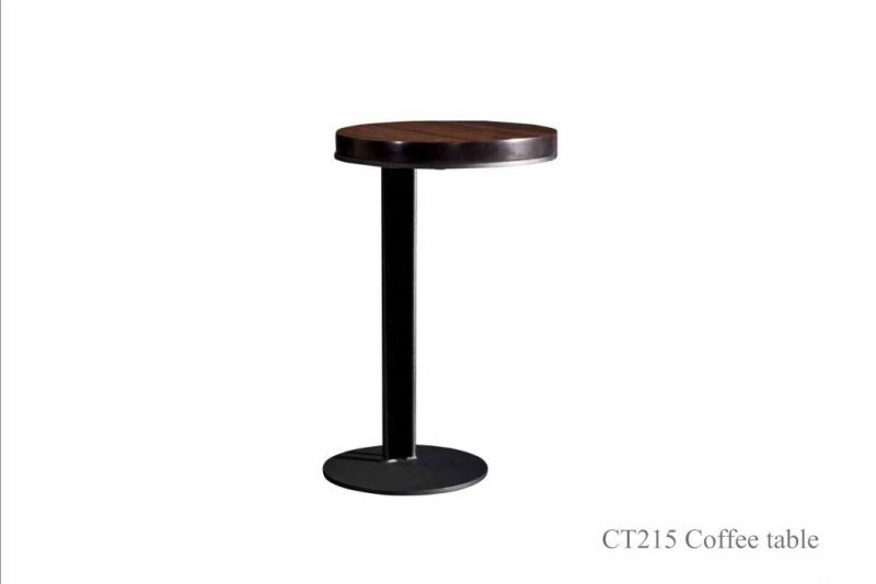 CT211 Metal Side Table/Metal Coffee Table in Home Furniture and Hotel Furniture