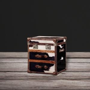 Functional Stylish Leather Decorative Storage Trunk