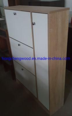 Three Big Doors Shoe Cabinet