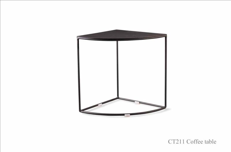 CT211 Metal Side Table/Metal Coffee Table in Home Furniture and Hotel Furniture