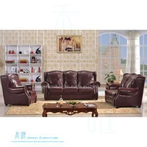 Jane European Living Room Sofa Set for Home (HW-3005S)