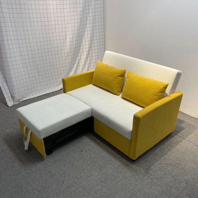 Folding Sofa Bed Small Apartment Double-Seat Multifunctional Dual-Purpose Sofa Bed