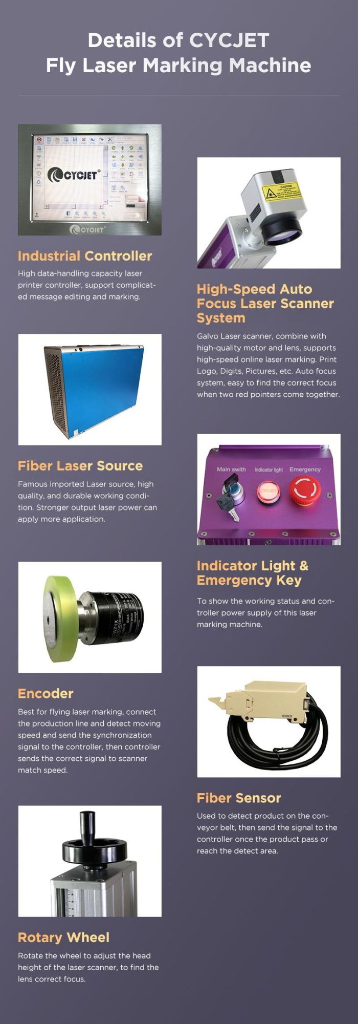 Cycjet Lf30f Laser Marking Machine for Blue Pipe