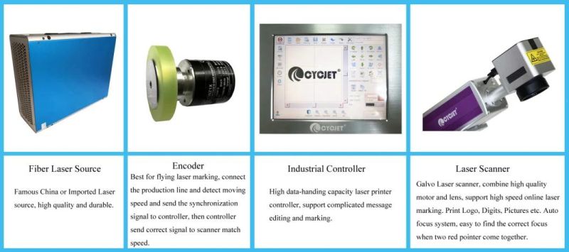 Cycjet Lf30f 30W Laser Marking Machine for Online PVC Pipe