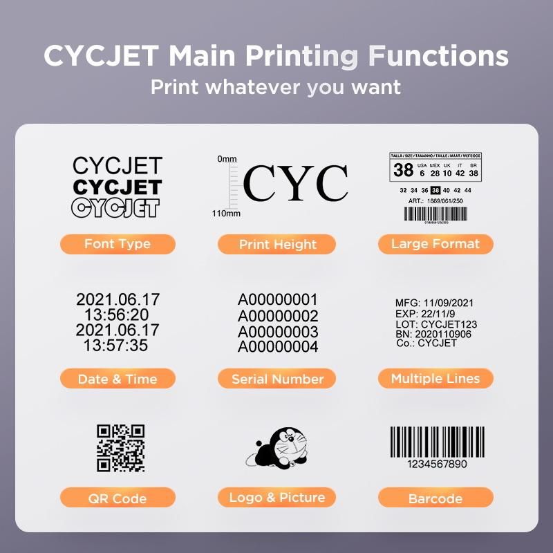 Cycjet Lf30f Laser Marking Machine for Blue Pipe