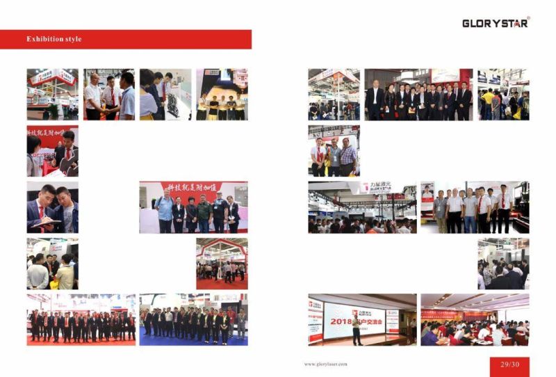 3000*1500mm and Optional Germany Brand China Fiber Laser Cutting Machine