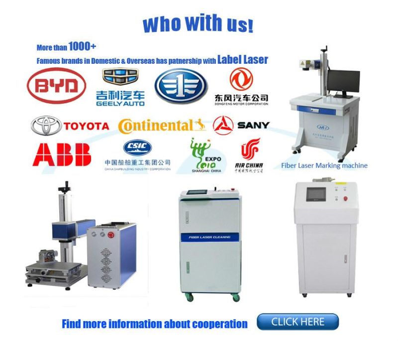 High Performance Visual Positioning Visual Laser Marking Machine 20W for Metals Plastics