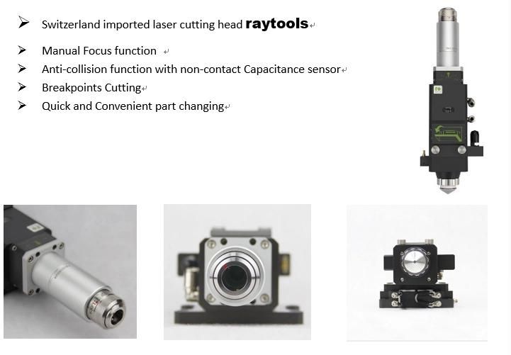 Low Maintenance 1000W Carbon Steel Fiber Laser Cut for Metal