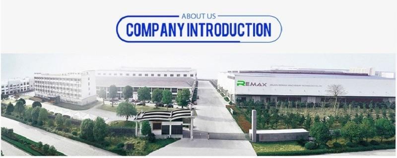 Remax 1390 CO2 Laser Engraving Cutting Machines