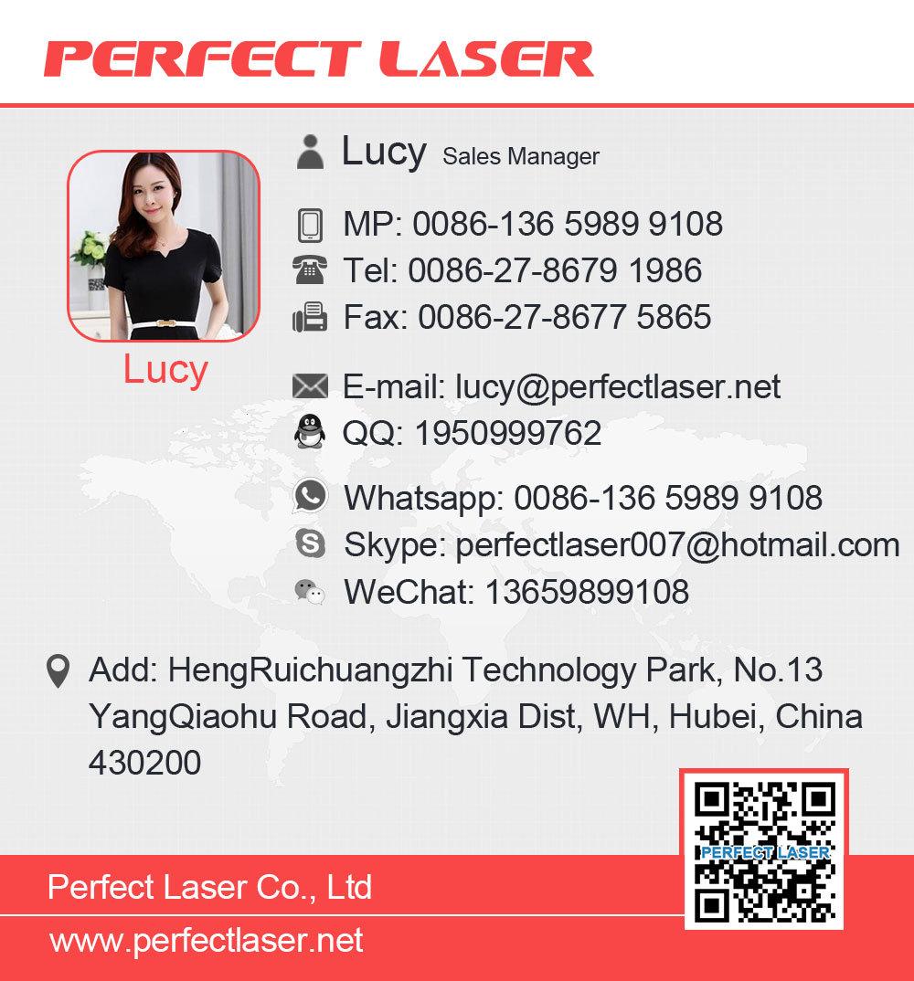 Perfect Laser - 3D Glass Crystal Inside Photo Laser Engraved Crystal Cube Machine