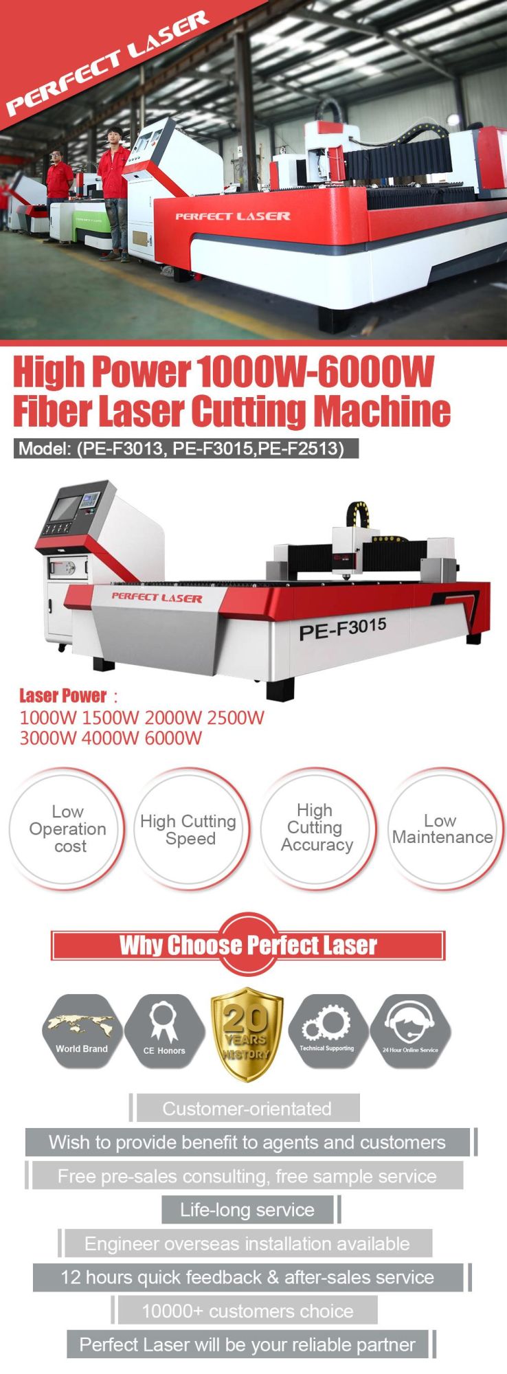 Automatic Offline Movement Control Stainless Steel Carbon Steel Fiber Laser Cutting Machine for Metal