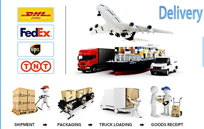 Wood Acrylic Leather Davi Synrad RF Laser Tue 30W 60W CO2 Laser Marking Machine with High Precision