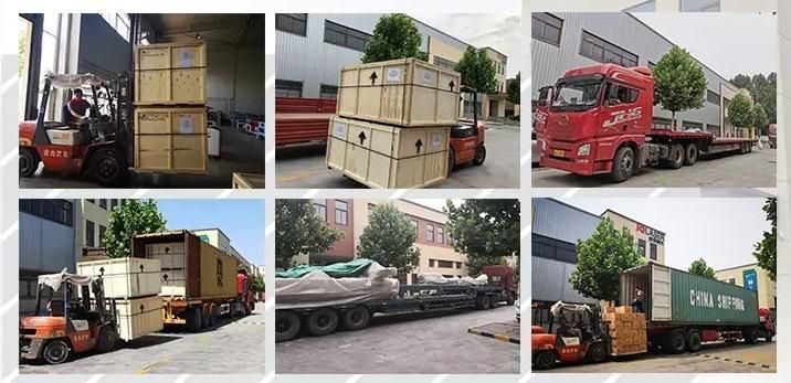 Laser Cutting Machine for Tube of Flt-6020et with Raycus/Ipg Laser Source