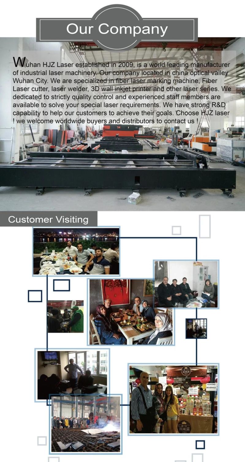 Metal Lazer/Laser Cutting Machine Manufacturers for Sale