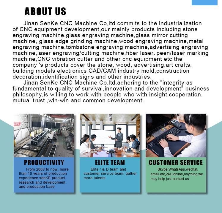 Senke CO2 Laser Machine with Smoking Device and Radio-Frequency Tube CO2 Laser Marking Machines