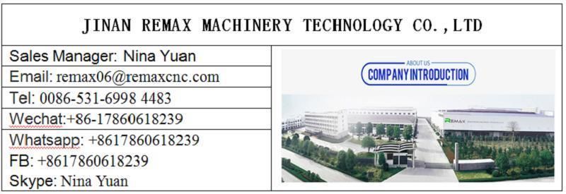 Fiber Laser Cutting Machine Ball Screw Laser and Cutting Steel Metal