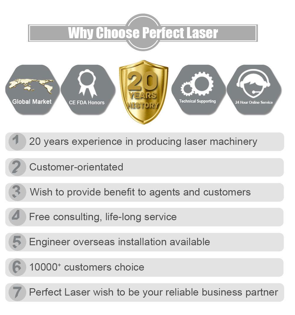 Perfect Laser-1kw 2kw 3kw 500W 1000W 1500W 2000W 3000 Watts Metal Sheet/Round Tube/Square Pipe Ipg /Raycus/Max Rotary CNC Fiber Laser Cutting Machines Price