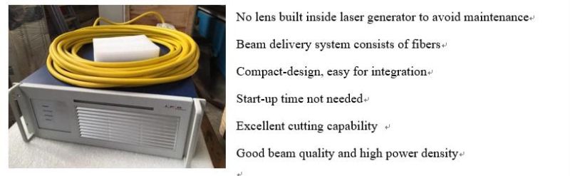 Low Maintenance 1000W Carbon Steel Fiber Laser Cut for Metal
