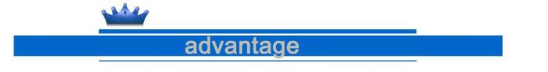 Laser Engraving/Marking Equipment/Marker/Engraver Machine for Immigration/Customs/Court/Contract Metal Seal