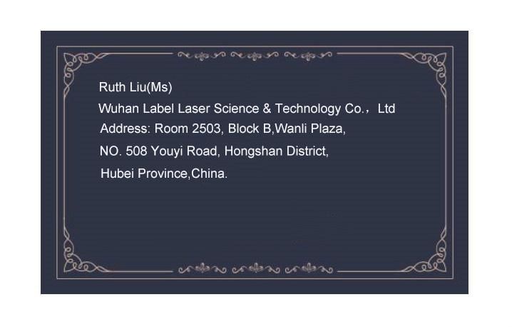 High Performance Visual Positioning Visual Laser Marking Machine 20W for Metals Plastics