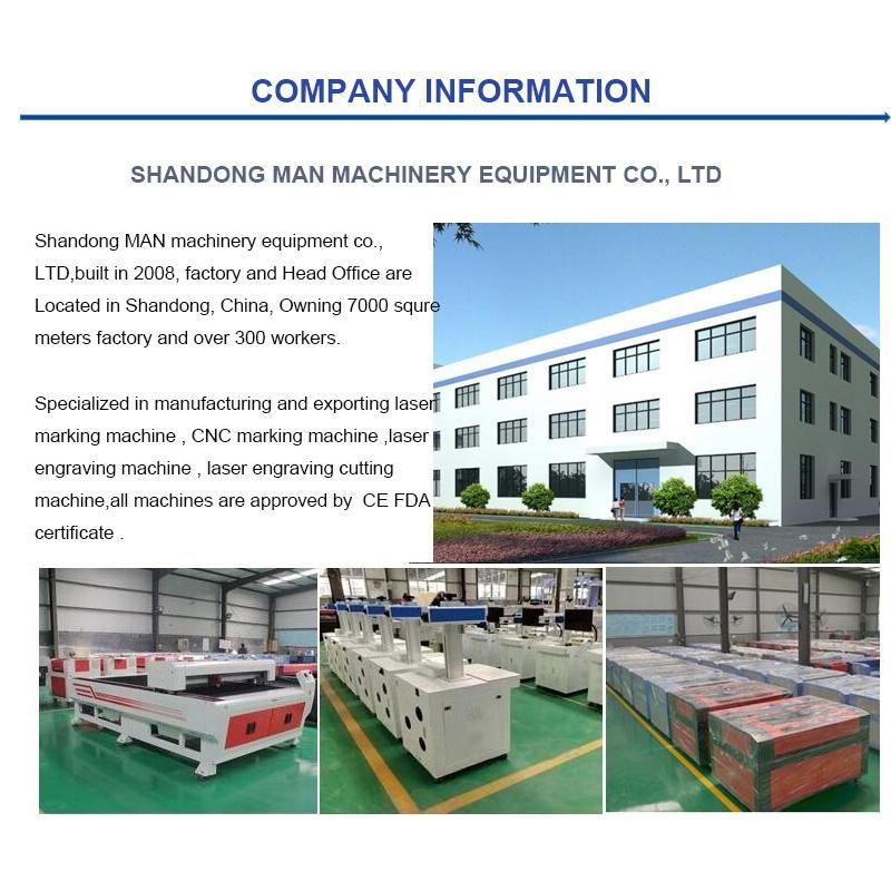 Laser Engraving/Marking Equipment/Marker/Engraver Machine for Immigration/Customs/Court/Contract Metal Seal
