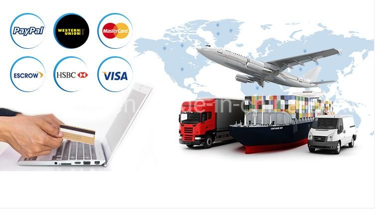 Ipg 2000W Fiber Laser Cutting Machine for Metal Steel