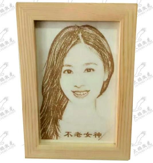 CO2 Laser Marking/Engraving Machine for Wooden Pattern Engraving