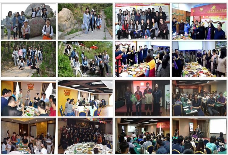 CCD Camera Vision Laser Welding Machine with Cheap Price for Advertising